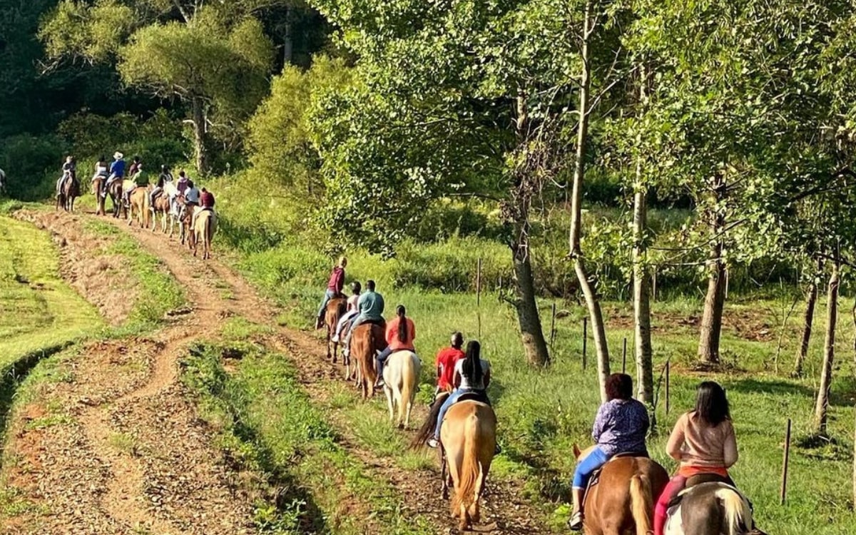 North Horseback Riding Blue Sky Cabin Rentals